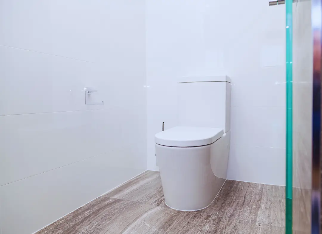 Remplacement de wc Seysses