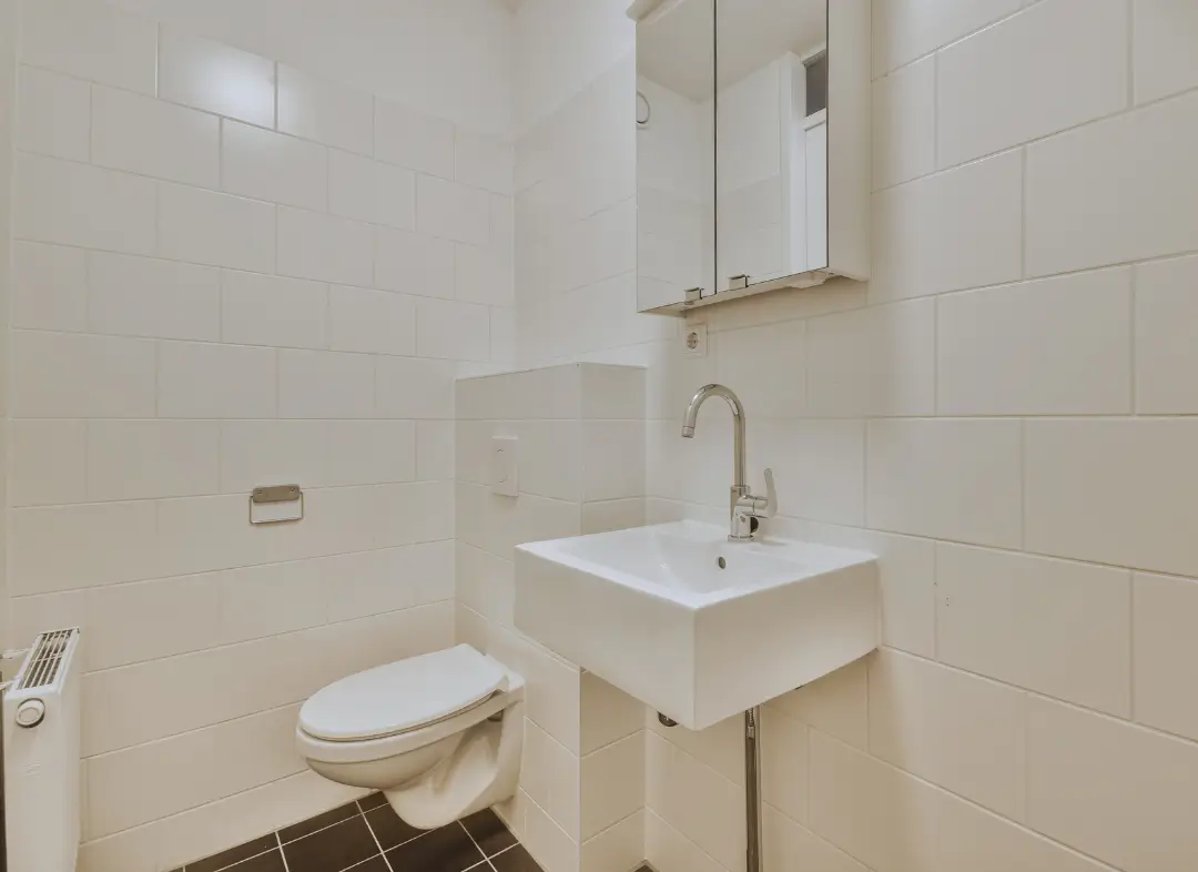 Pose WC Suspendu Seysses